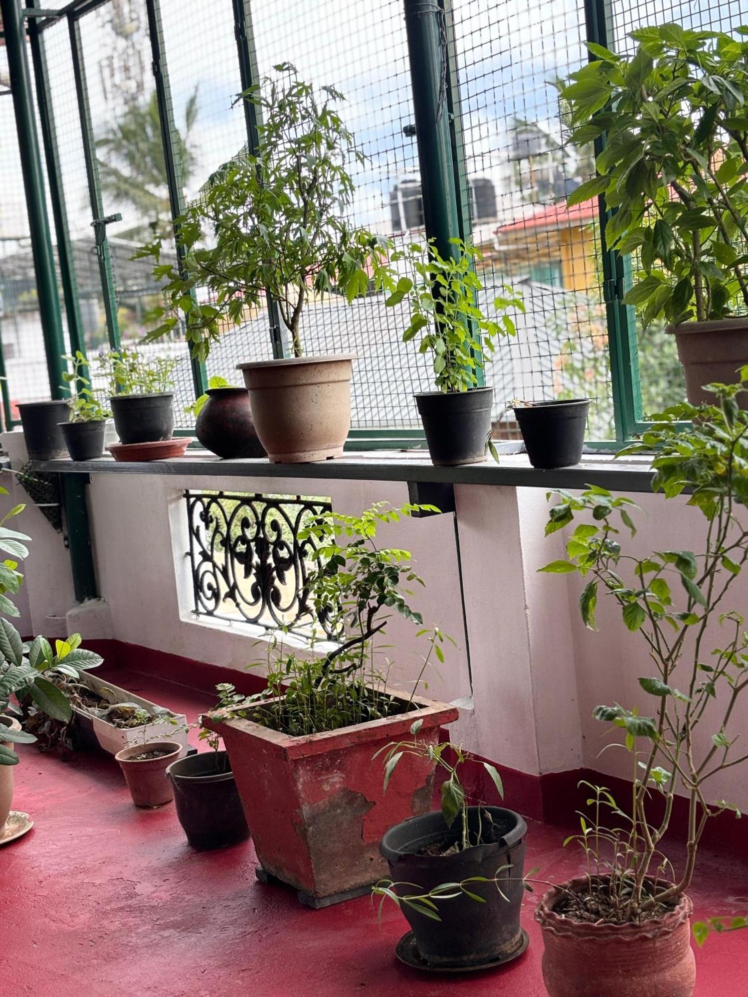 Beza Homestay Kochi Dış mekan fotoğraf